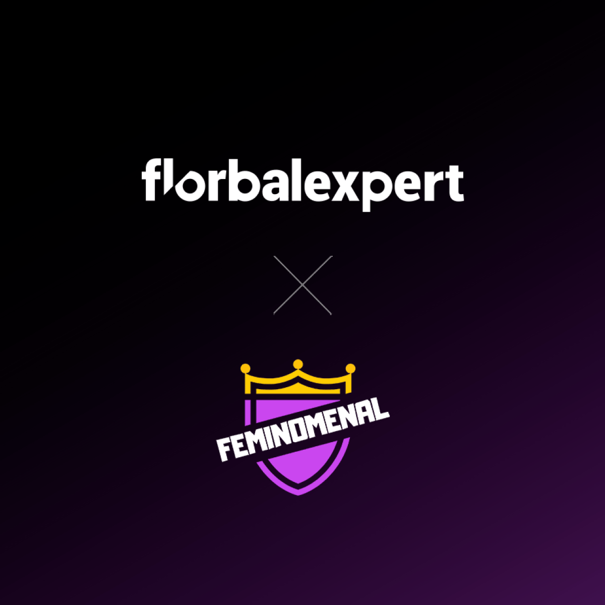 Florbalexpert a FEMINOMENAL Camp navazují spolupráci